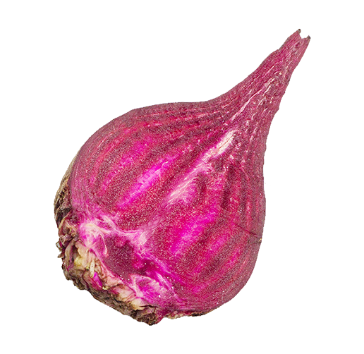 Natuurlijk Appelhof Beet